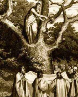 druidas_y_muerdago