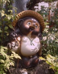 9tanuki1