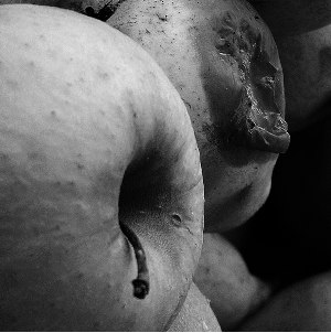 fruta-podrida