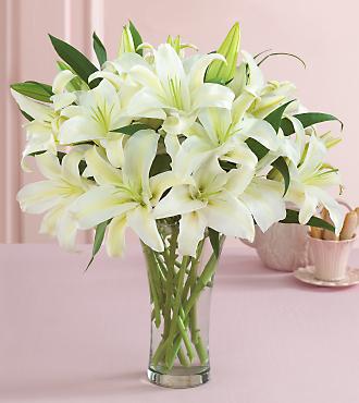 flores