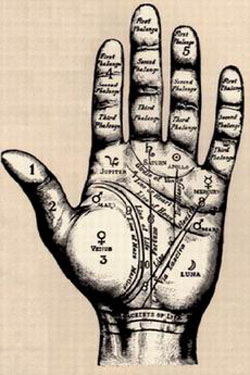 Imagen 0/1