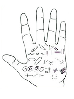 Imagen 0/1