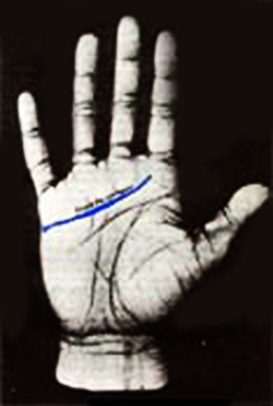 Imagen 0/1