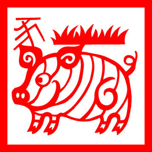 pig