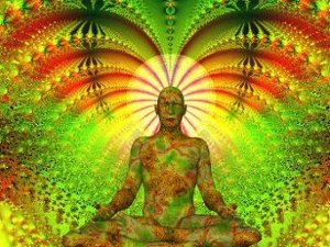 ayahuasca-reaccion