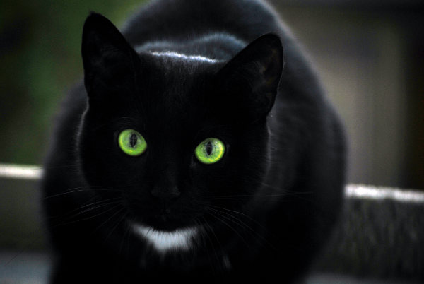crees-supersticiones3